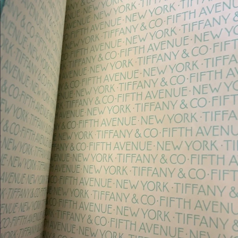 Brand New in Box Authentic Tiffany & Co 2011 Planner